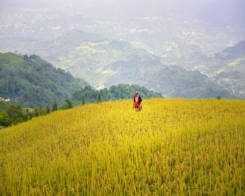 Mujer trabajando cómodamente en su hogar con buena iluminación natural
